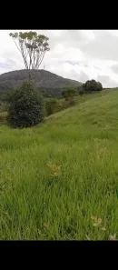 Fazenda/Sítio com 1 Quarto à venda, 350000m² no , São Joaquim do Monte