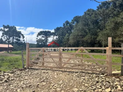 Fazenda/Sítio com 1 Quarto à venda, 5000m² no Centro, São Francisco de Paula