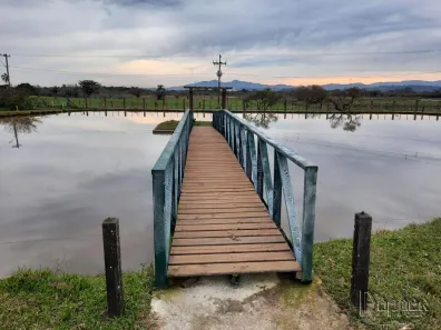 Fazenda/Sítio à venda, 220m² no Lomba Grande, Novo Hamburgo