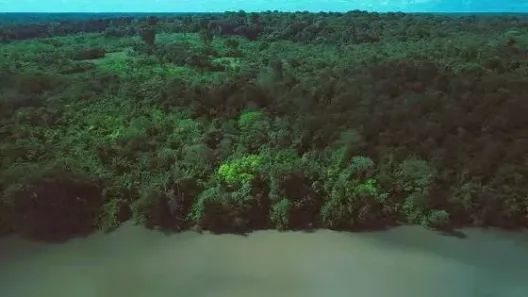 Fazenda/Sítio à venda, 9160000m² no Centro, Acará