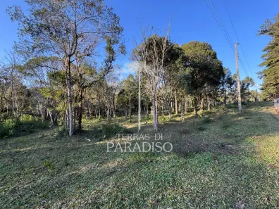 Fazenda/Sítio à venda, 52380m² no Campo Alegre, Campo Alegre