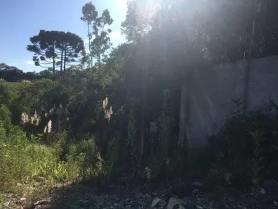 Galpão/Depósito/Armazém à venda, 33248m² no Barro Preto, São José dos Pinhais