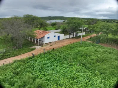 Fazenda/Sítio com 4 Quartos à venda, 2000000m² no , São Paulo do Potengi