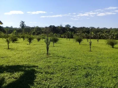 Fazenda/Sítio com 1 Quarto à venda, 80m² no , Morretes