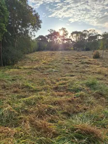 Lote/Terreno à venda, 1770m² no Parque das Varinhas, Mogi das Cruzes
