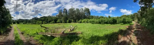 Lote/Terreno à venda, 20000m² no , Flores da Cunha