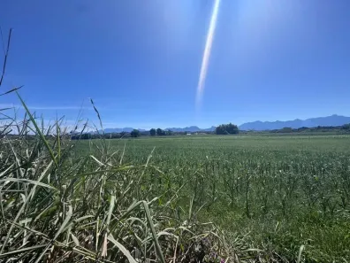 Fazenda/Sítio à venda, 33608m² no Papucaia, Cachoeiras de Macacu