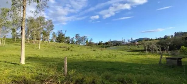Fazenda/Sítio à venda, 8000m² no Rolante, Rolante