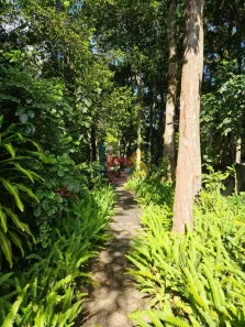 Lote/Terreno à venda, 1277m² no Arraial D'Ajuda, Porto Seguro
