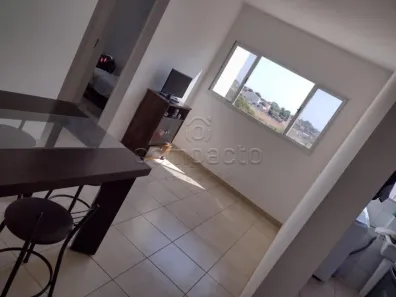Apartamento com 2 Quartos à venda, 50m² no Residencial Colorado, São José do Rio Preto