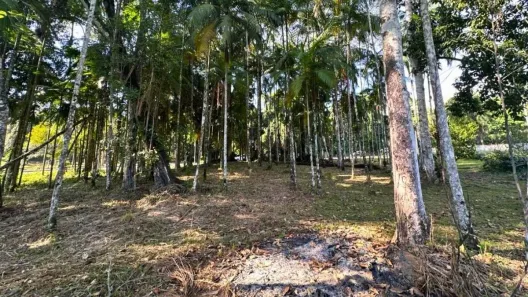 à venda, 2091m² no Badenfurt, Blumenau