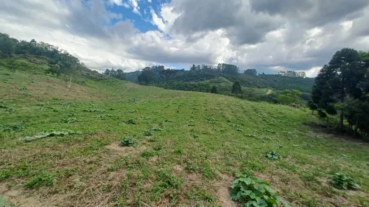 Fazenda/Sítio à venda, 125000m² no , Alfredo Wagner