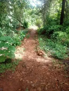 Fazenda/Sítio à venda, 2427m² no Área Rural de Rochedo, Rochedo