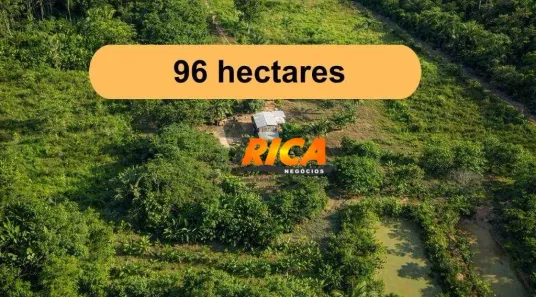 Fazenda/Sítio à venda, 960000m² no , Canutama