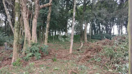 Lote/Terreno à venda, 455m² no Bela Vista, Caxias do Sul