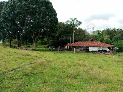 Fazenda/Sítio à venda, 3581600m² no , Faina