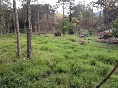 Fazenda/Sítio com 2 Quartos à venda, 60000m² no , Piracaia