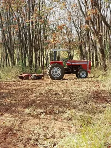 Fazenda/Sítio com 3 Quartos à venda, 176660m² no Área Rural de Poloni, Poloni