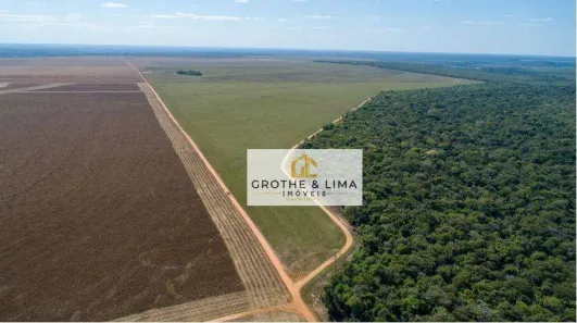 Fazenda/Sítio à venda, 1000m² no , Nova Maringá