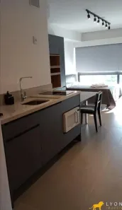 Apartamento com 1 Quarto para alugar, 31m² no Petrópolis, Porto Alegre