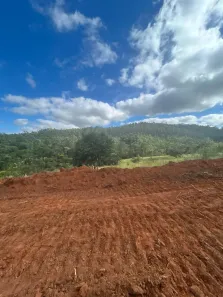 Lote/Terreno à venda, 600m² no Centro, Mairiporã