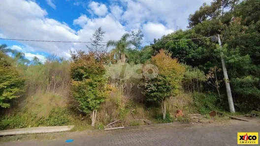 Lote/Terreno à venda, 508m² no Nova Petrópolis, Nova Petrópolis