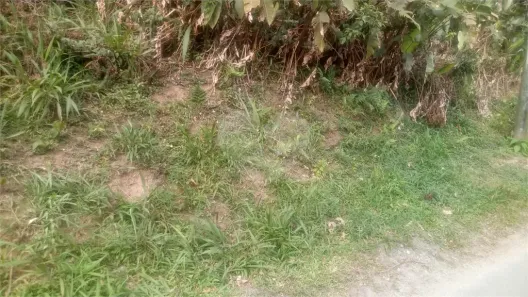 Lote/Terreno à venda, 2200m² no Caraguatá, Mairiporã