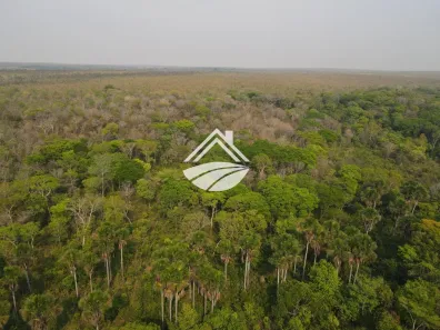 Fazenda/Sítio à venda, 9090000m² no , Lizarda