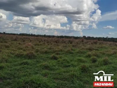 Fazenda/Sítio à venda, 500m² no , Nova Crixás