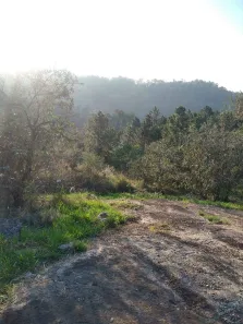 Lote/Terreno à venda no Sítio do Morro, Santana de Parnaíba