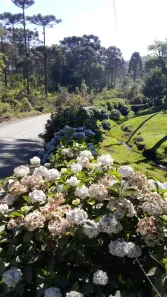 Lote/Terreno à venda, 85681m² no Zona Rural, Campo Alegre
