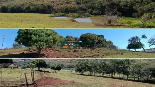 Fazenda/Sítio com 6 Quartos à venda, 48000m² no Lerroville, Londrina