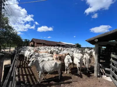 Fazenda/Sítio à venda, 2486000m² no , Araruama
