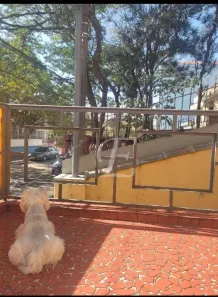 Sobrado com 3 Quartos à venda, 65m² no Vila Maria Alta, São Paulo