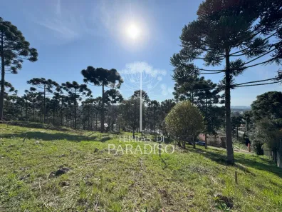 Lote/Terreno à venda, 3337m² no Cascatas, Campo Alegre