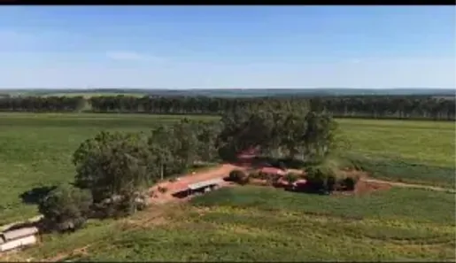 Fazenda/Sítio com 4 Quartos à venda, 6050000m² no Área Rural, Aparecida do Taboado