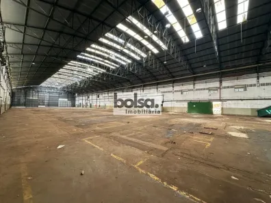 Galpão/Depósito/Armazém para alugar, 13000m² no Distrito Industrial Domingos Biancardi, Bauru
