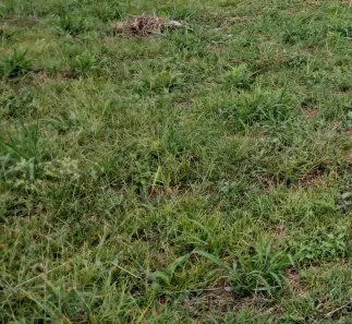 Lote/Terreno à venda, 176m² no Loteamento Residencial e Comercial Flamboyant, Pindamonhangaba
