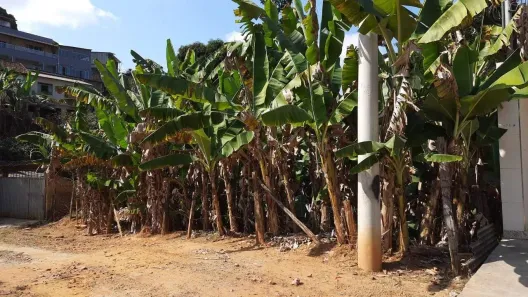 Lote/Terreno à venda, 800m² no Palmeiras, Ponte Nova