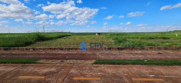 Lote/Terreno à venda, 250m² no Gleba Simon Frazer, Londrina
