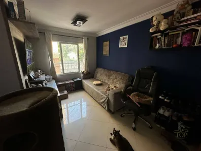Apartamento com 2 Quartos à venda, 50m² no Parque Erasmo Assunção, Santo André