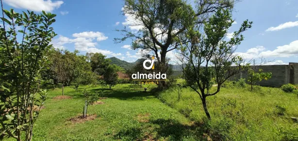 Lote/Terreno à venda, 6000m² no São José, Santa Maria