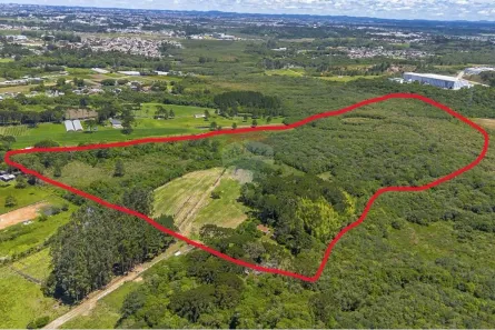 Fazenda/Sítio com 2 Quartos à venda, 100m² no Colônia Murici, São José dos Pinhais