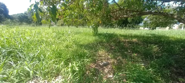 Lote/Terreno à venda, 611m² no Ubatiba, Maricá