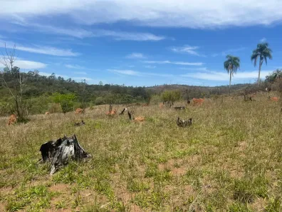 Lote/Terreno à venda, 500m² no Recreio Topázio (Caucaia do Alto), Cotia