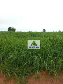 Fazenda/Sítio à venda, 9970400m² no Zona Rural, Pontal do Araguaia