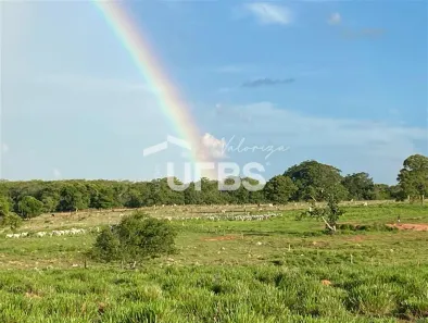 à venda, 1390490m² no , Bom Jardim de Goiás