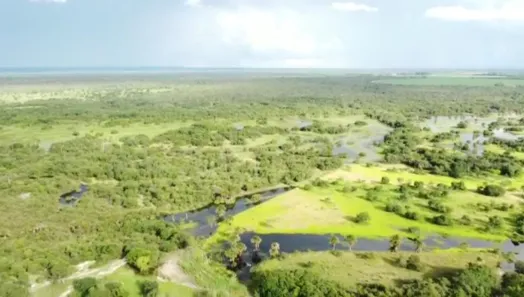 Fazenda/Sítio à venda, 4549600m² no , Arinos