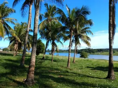 Fazenda/Sítio com 3 Quartos à venda, 411400m² no Santa Fe Do Sul, Santa Fé do Sul