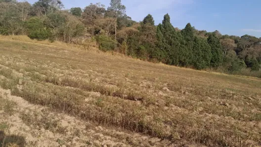 Lote/Terreno à venda, 500m² no Tijuco Preto(Caucaia do Alto), Cotia